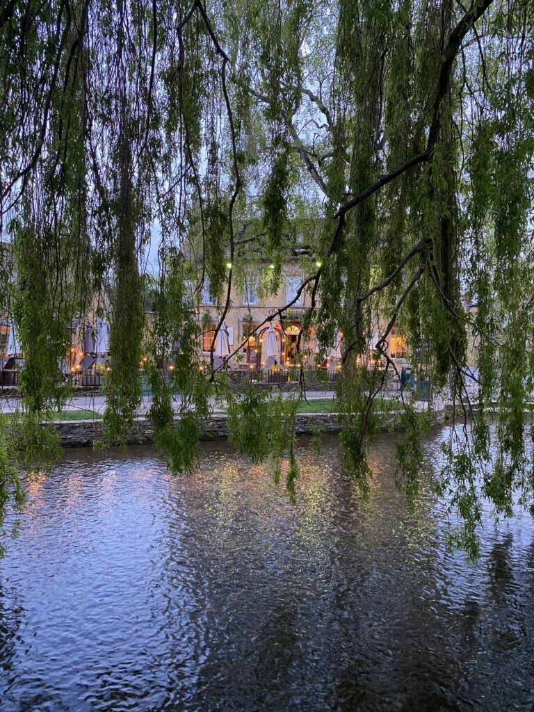 Image of the river and a house hidden behind the trees