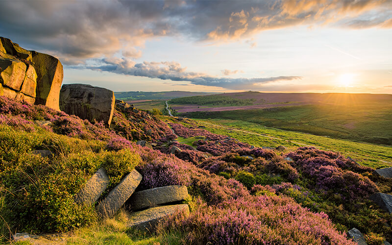 scenic view of the countryside relating to thinking about your concierge service