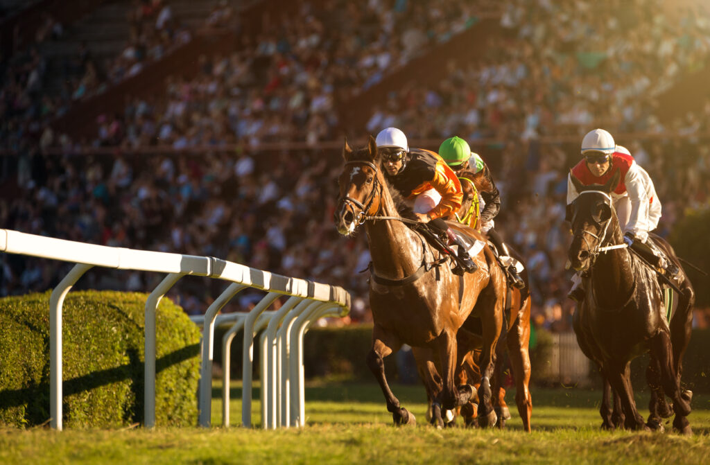 Horse Racing at Newbury Races during the English Summer Season Event