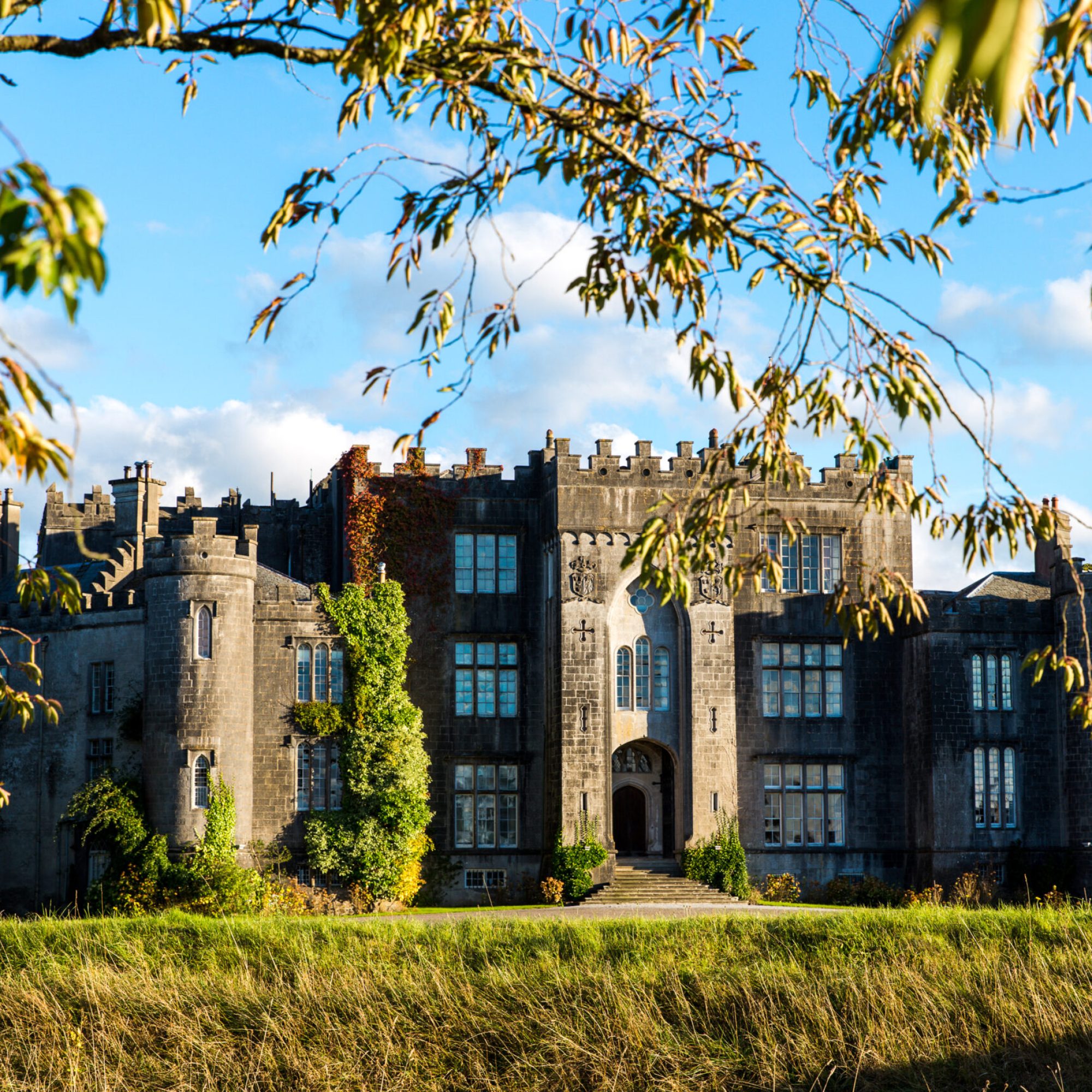 View,Of,Birr,Castle,In,County,Offaly,,Ireland