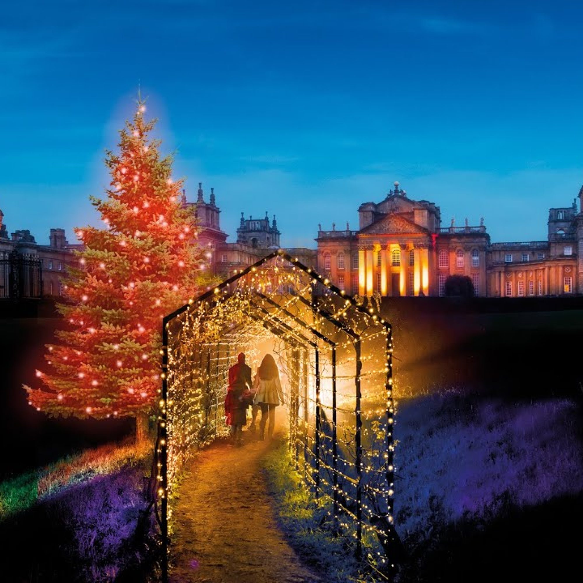 Blenheim-Palace-winter-Lights (9)