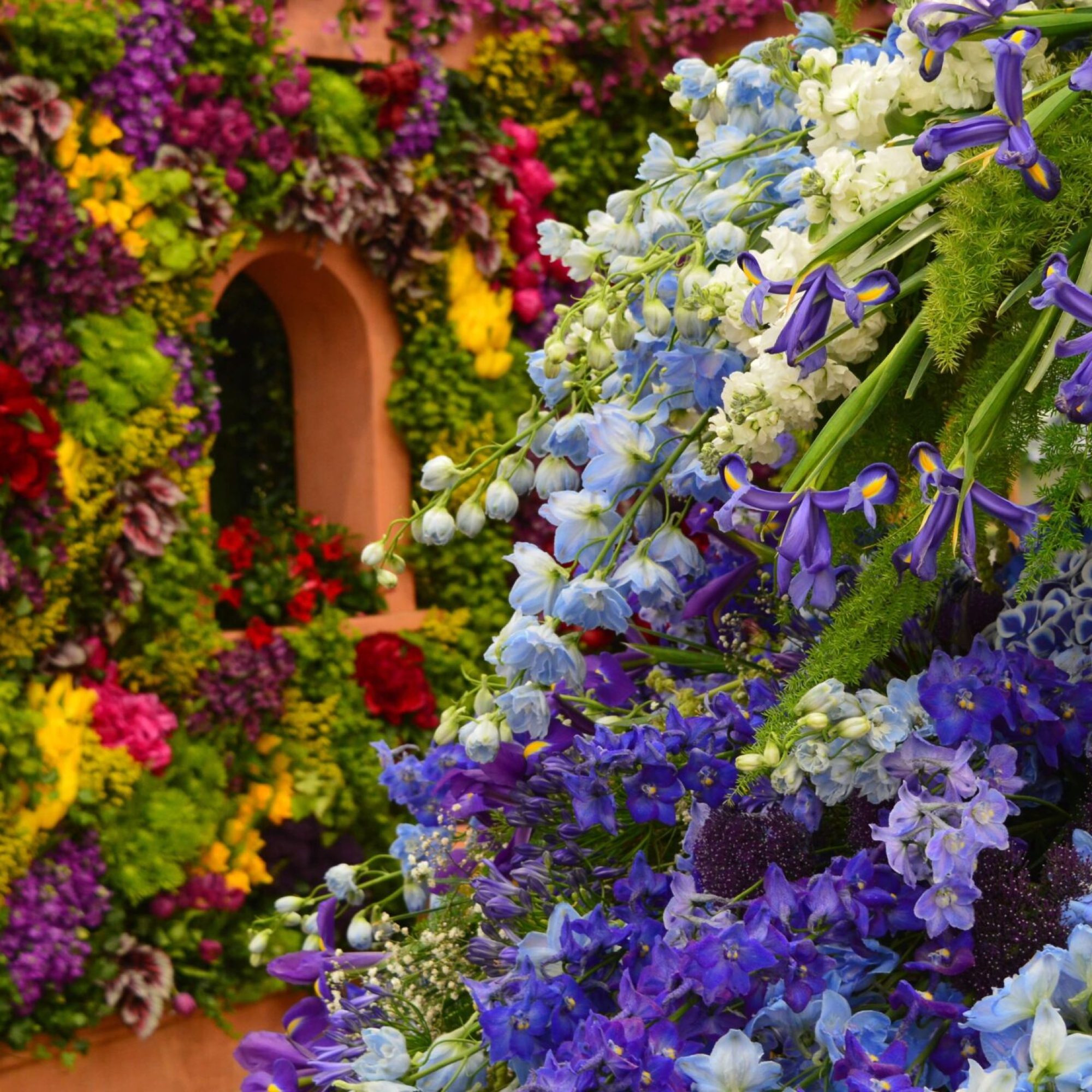 Chelsea Flower Show