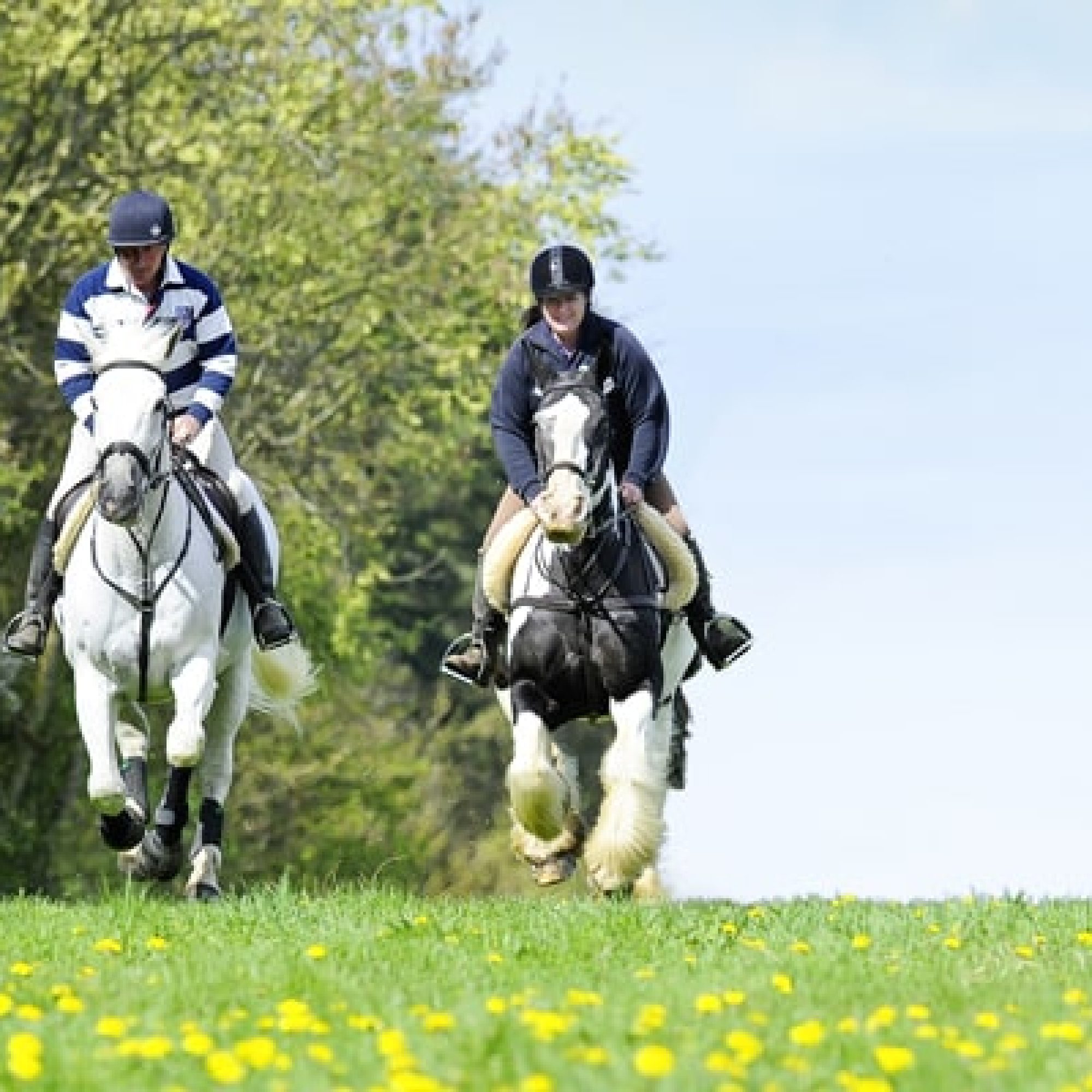 EnjoyHackingHorseRiding-min