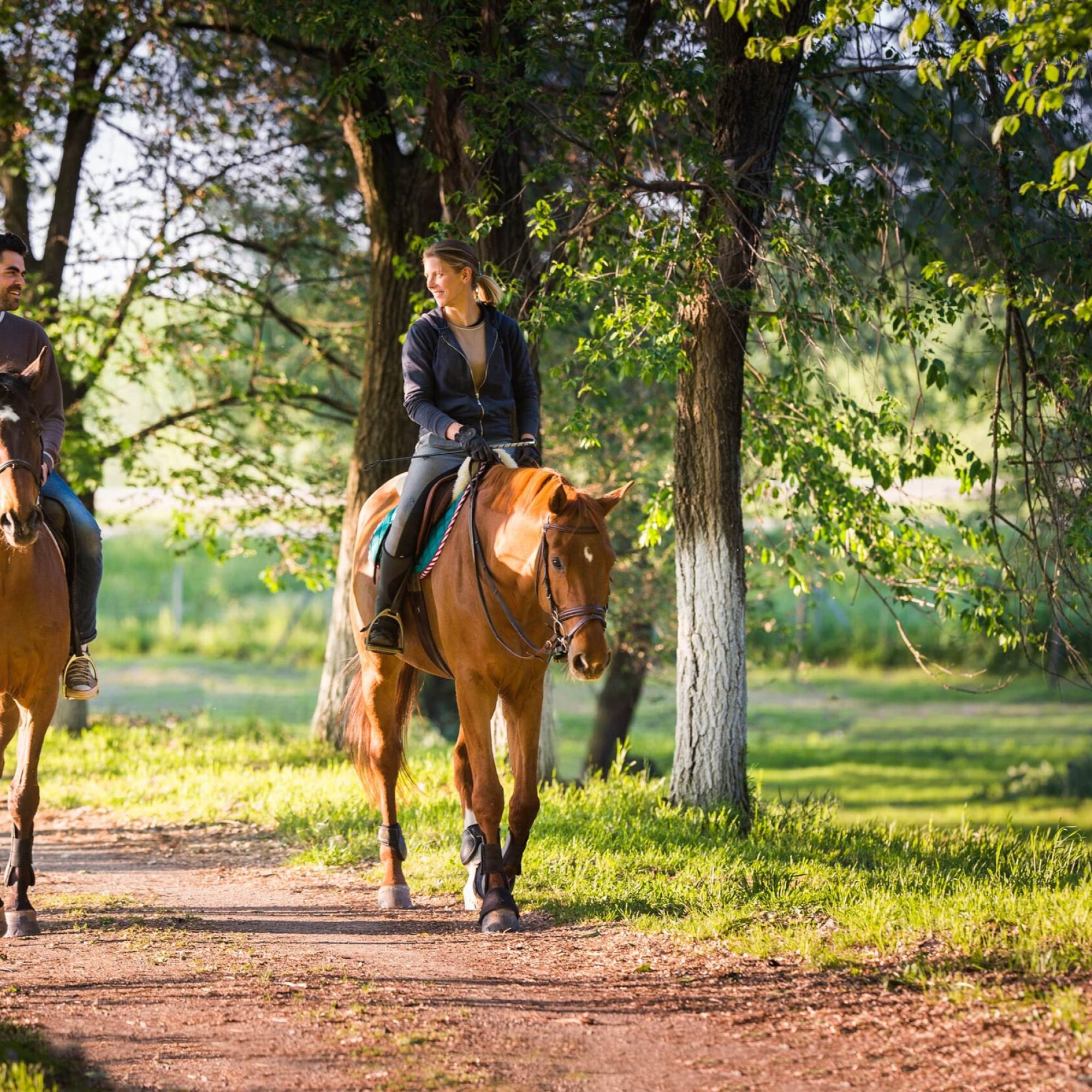 Horse-riding-min
