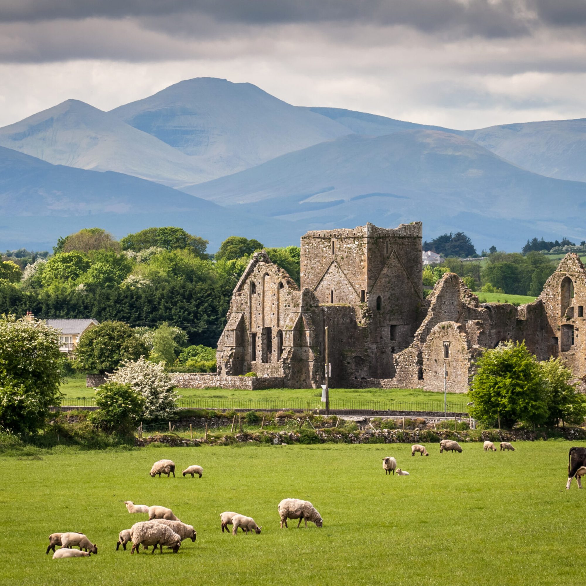 Ireland-Countryside