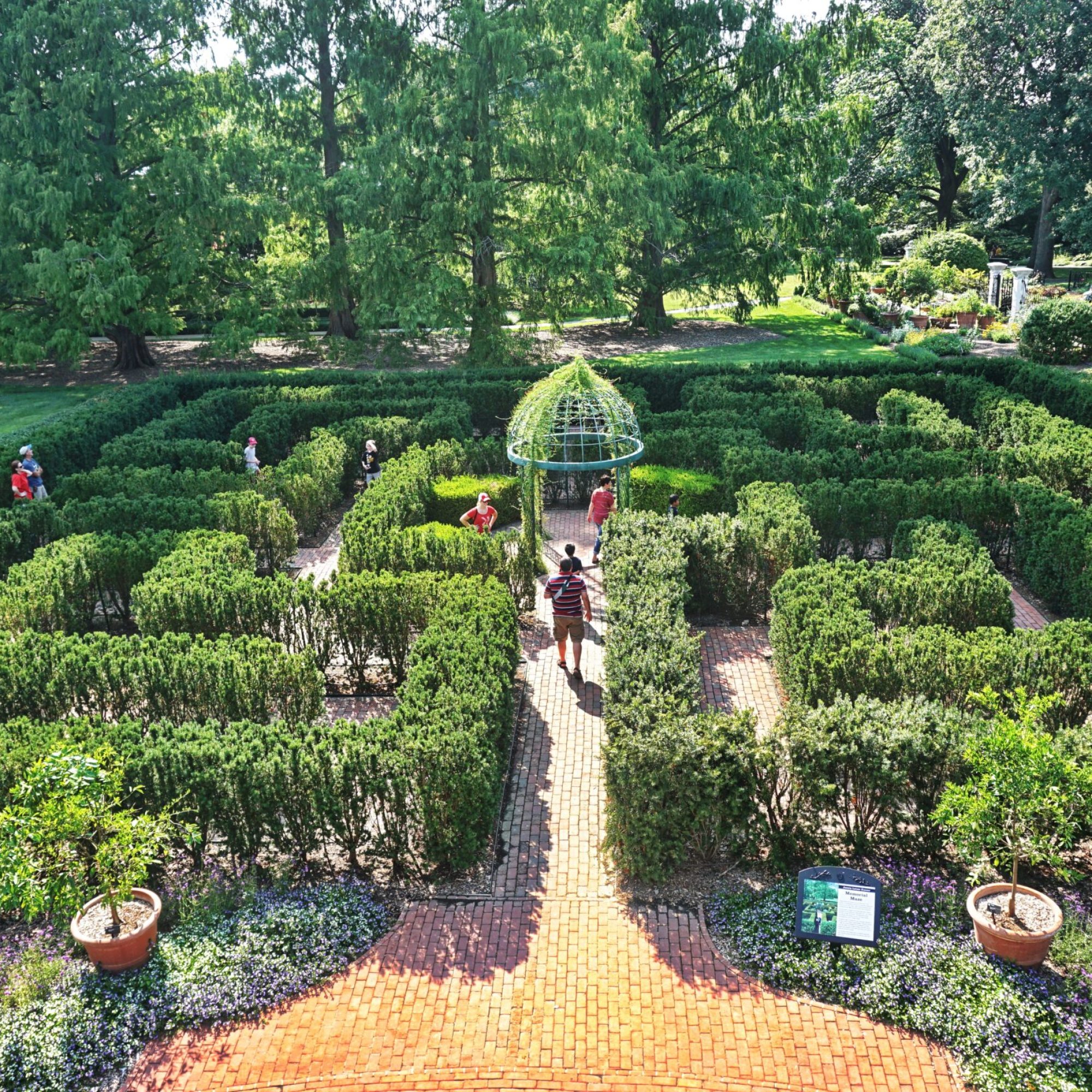 Maze (2)