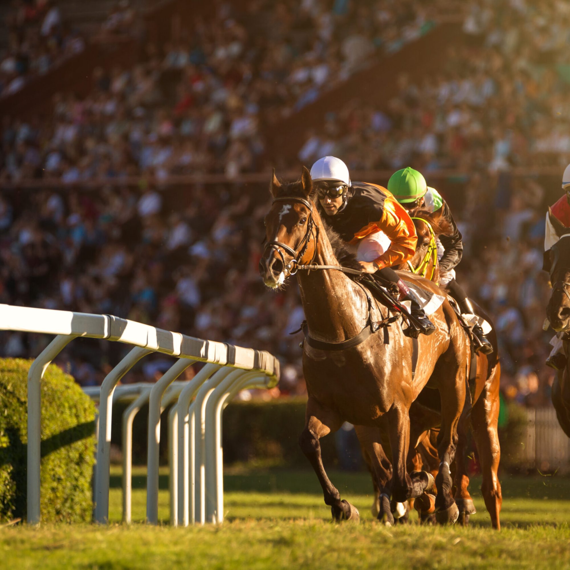 Horse Racing at Newbury Races during the English Summer Season Event