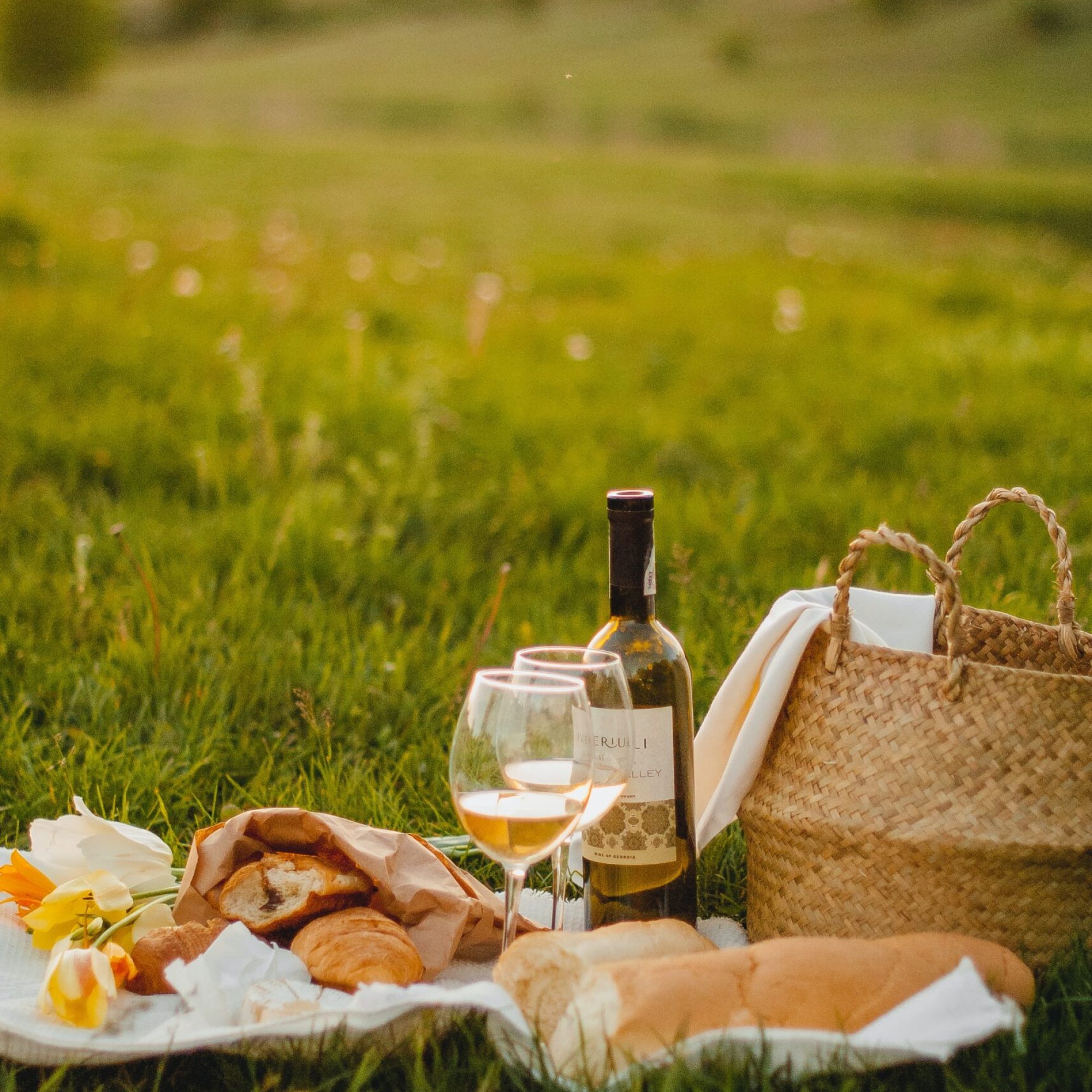 Picnic-park-wine (2)