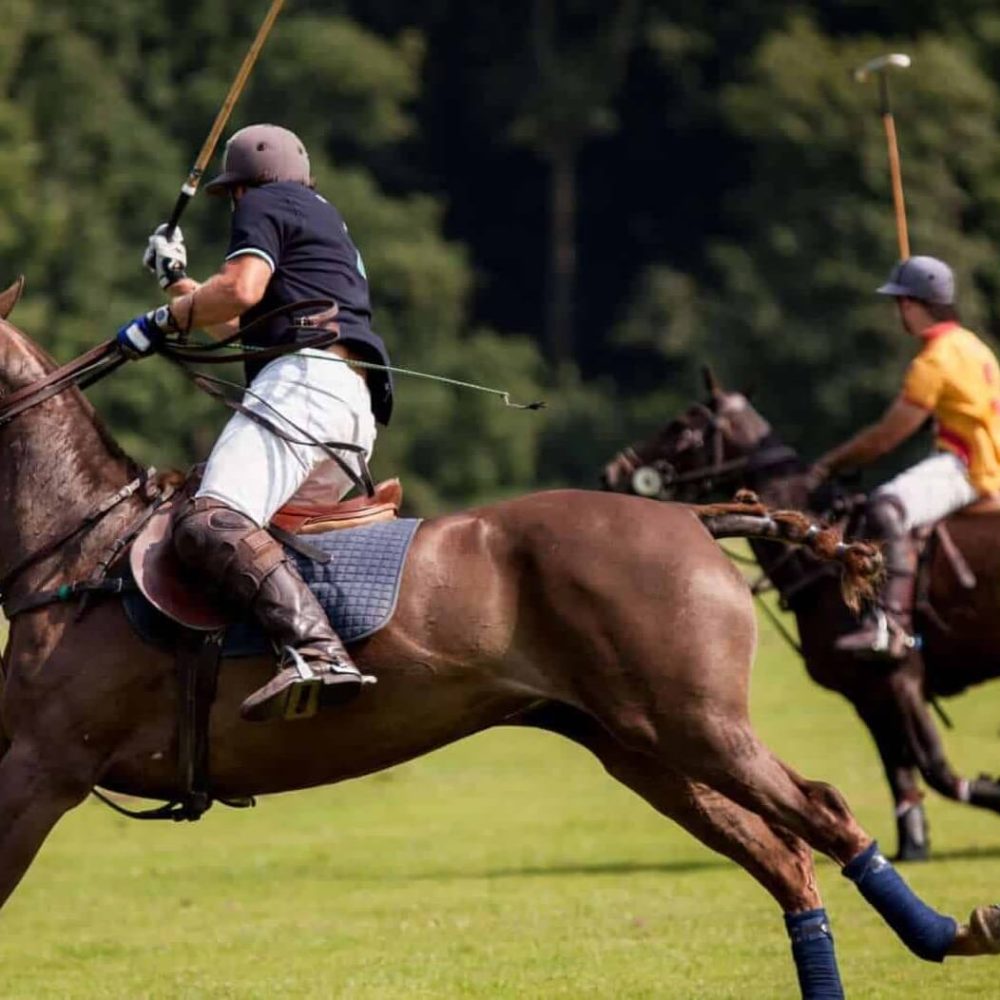 Polo game