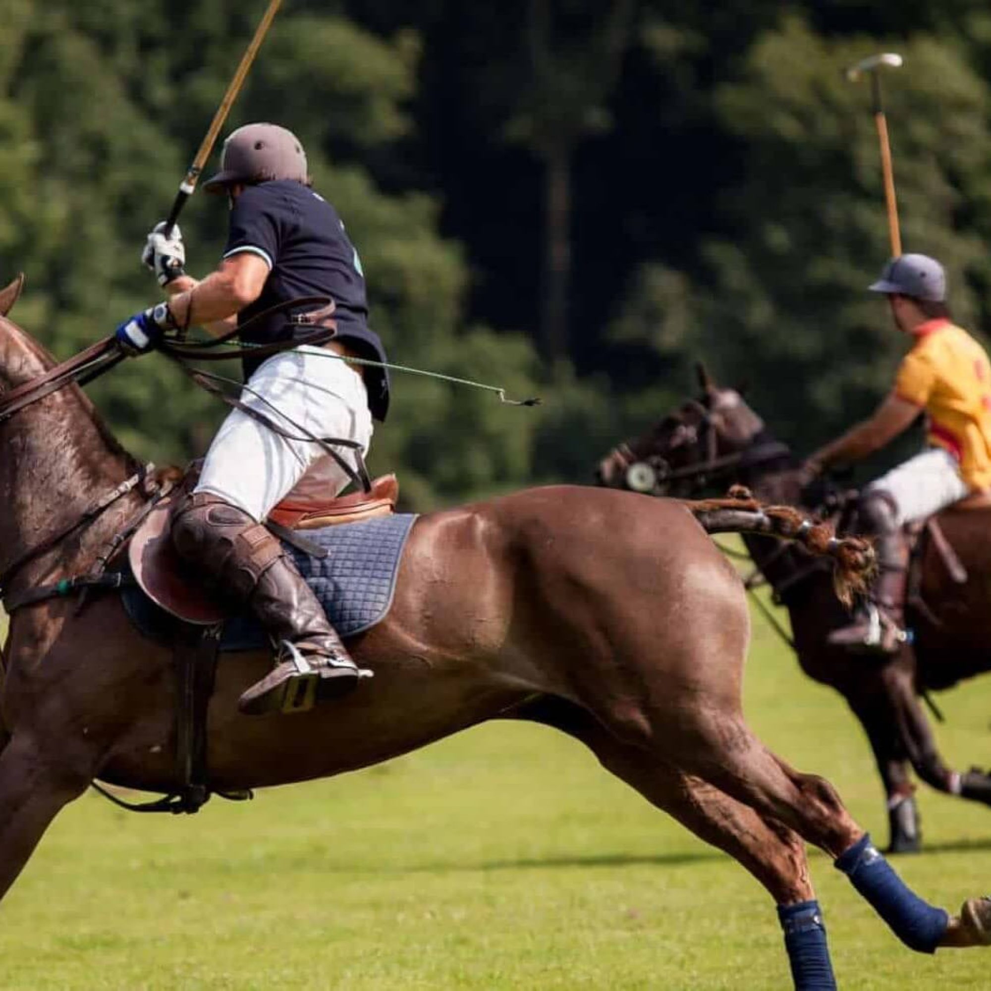 Polo game