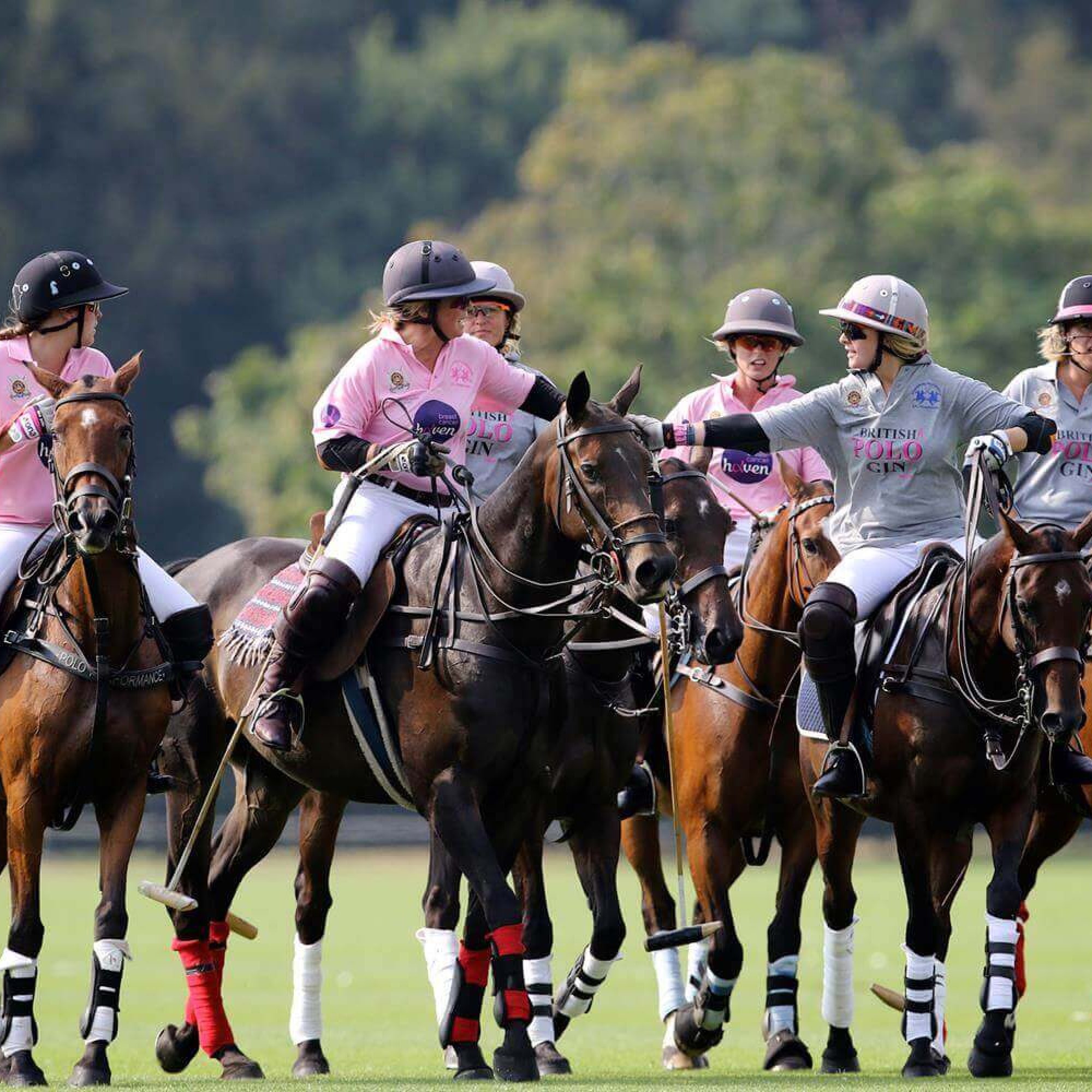 Polo