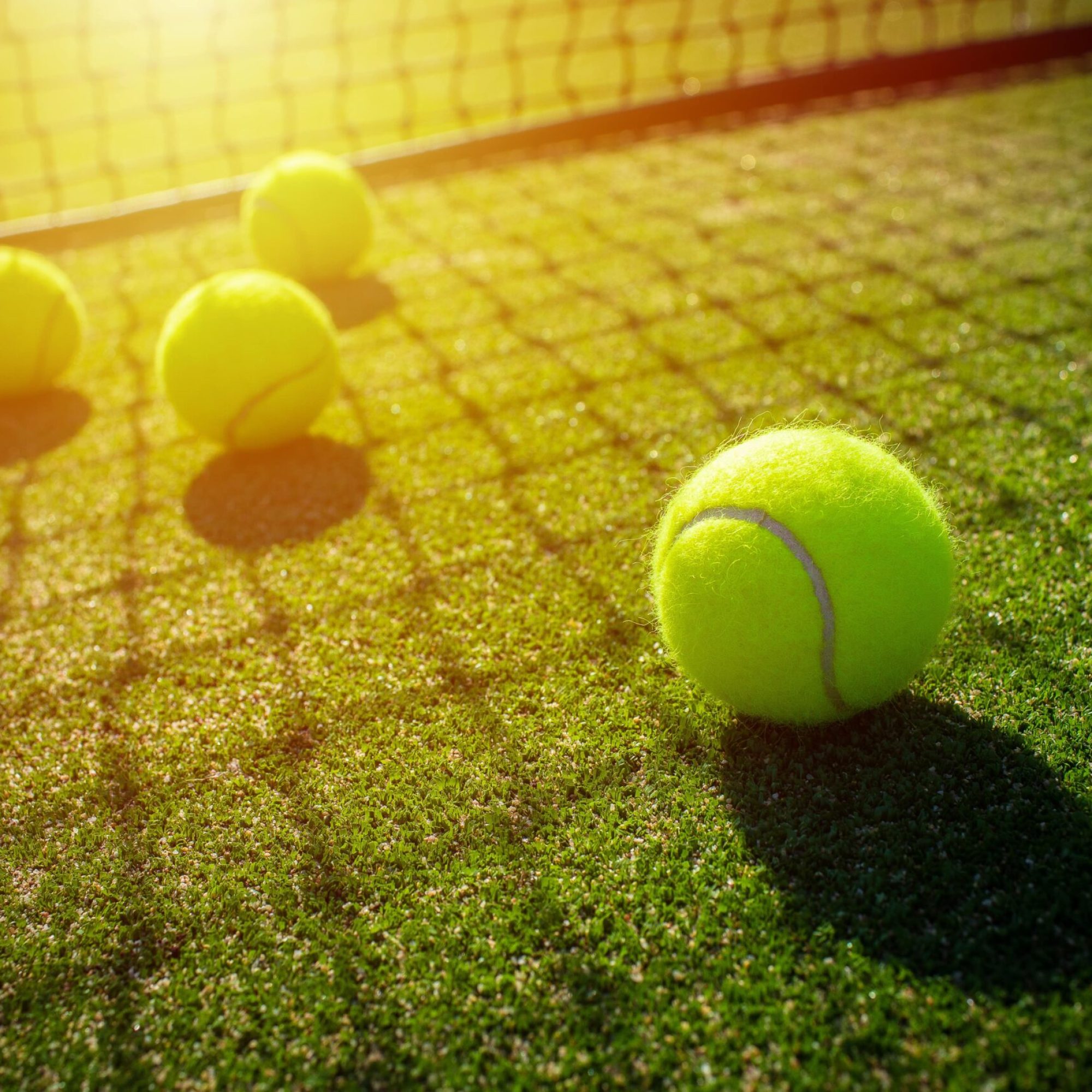Tennis-Balls-and-net-min