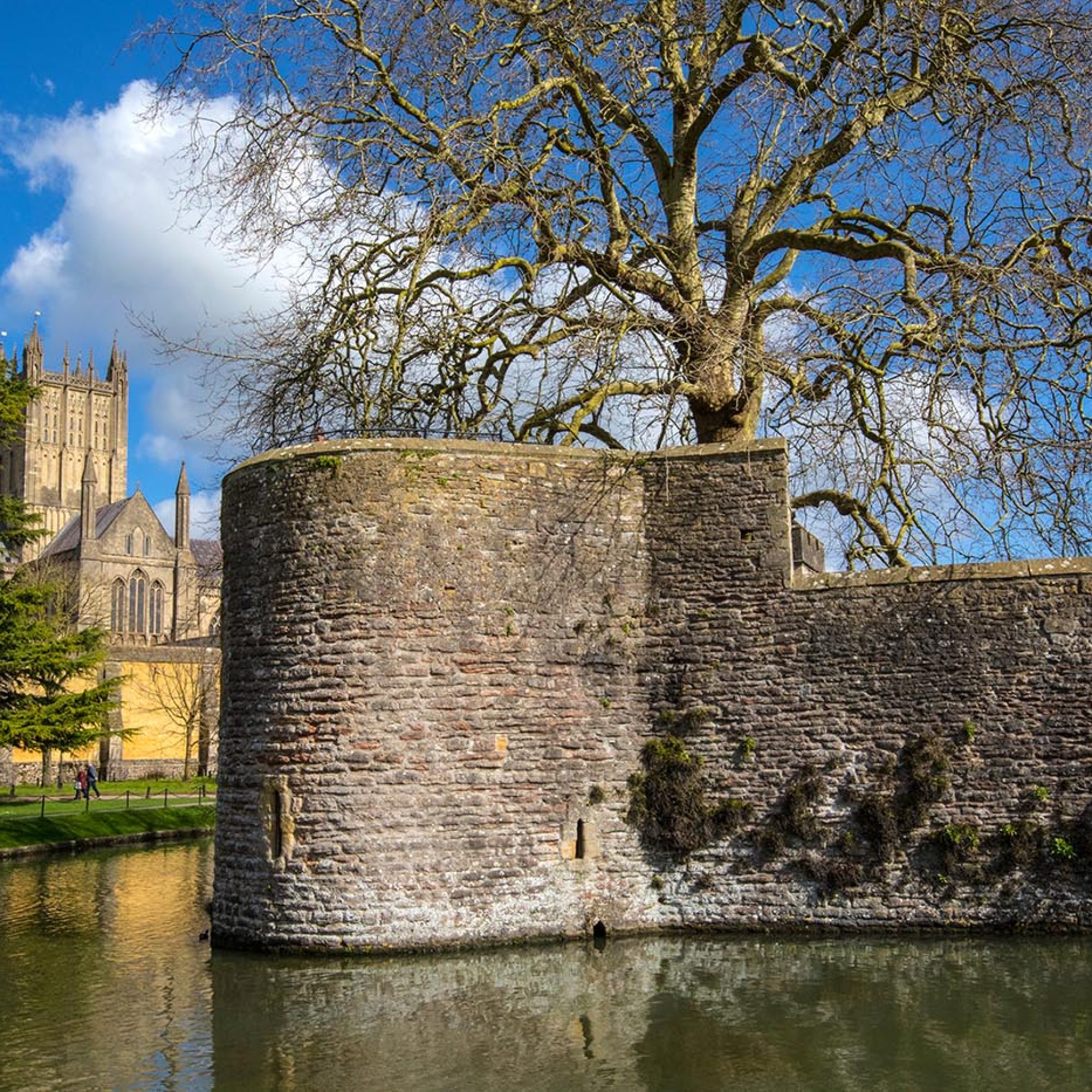 Wells Somerset