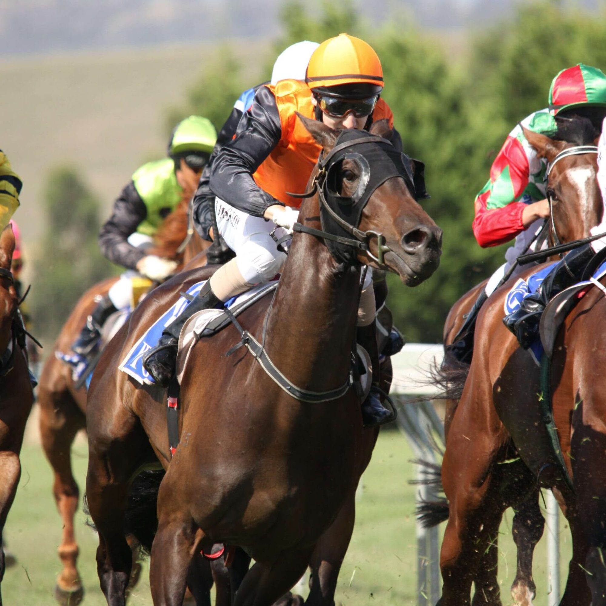 Royal Ascot Racing