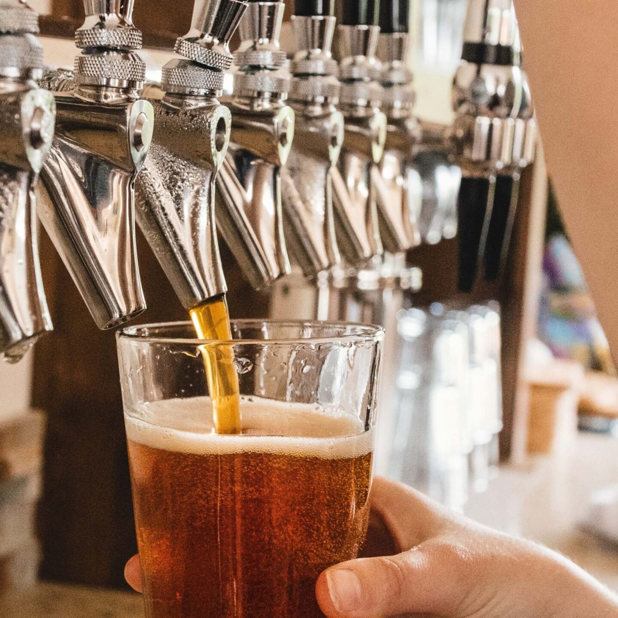 beer tap and pint of beer at the Brewery Tour and Tasting