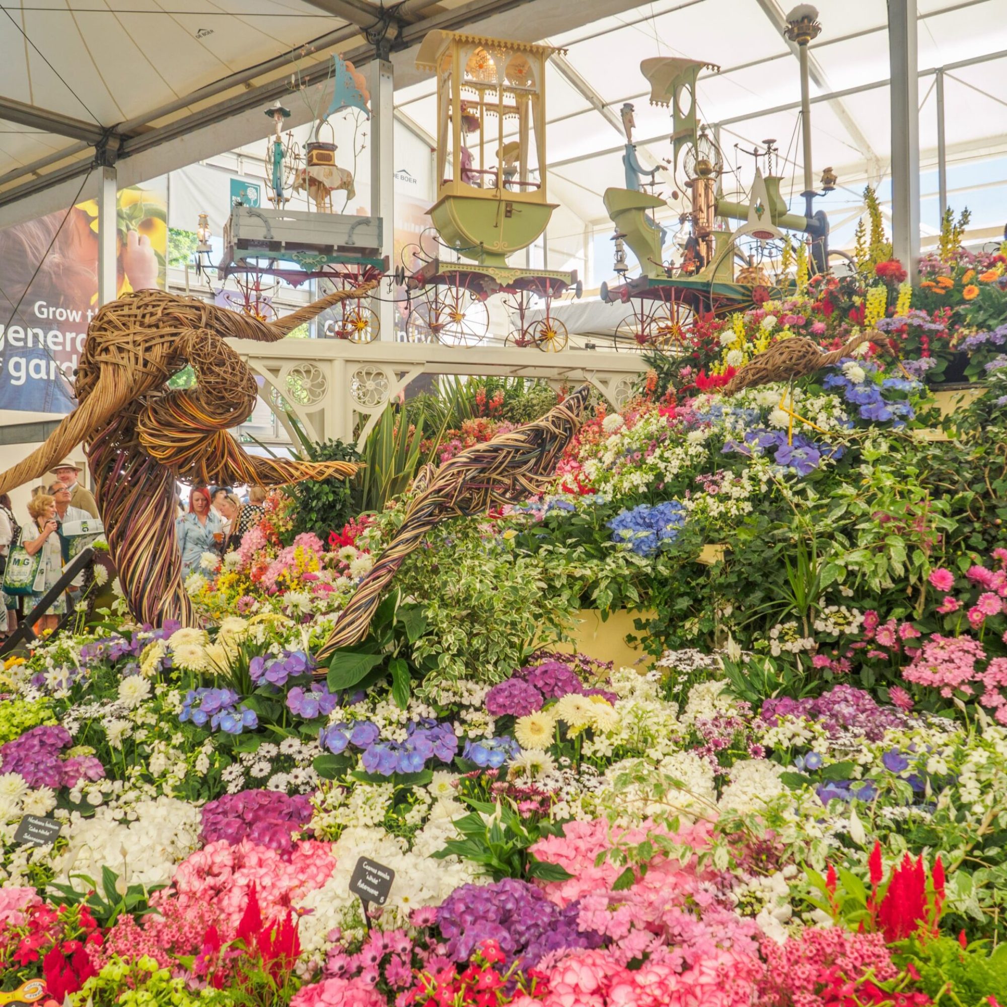 chelsea-flower-show