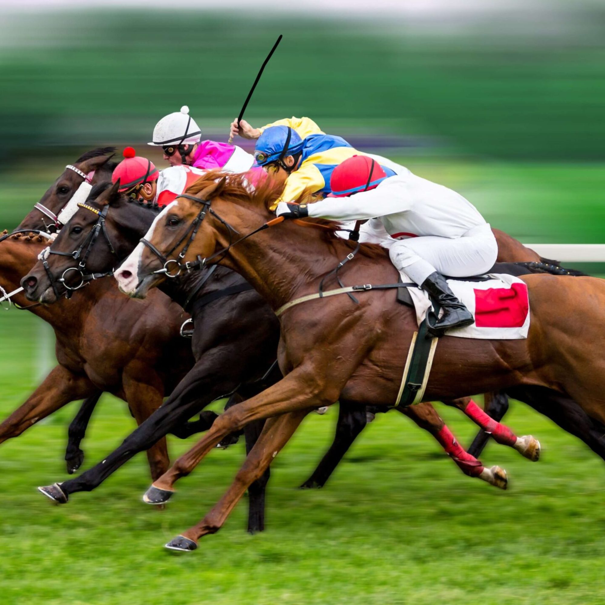 Cheltenham Festival Racing