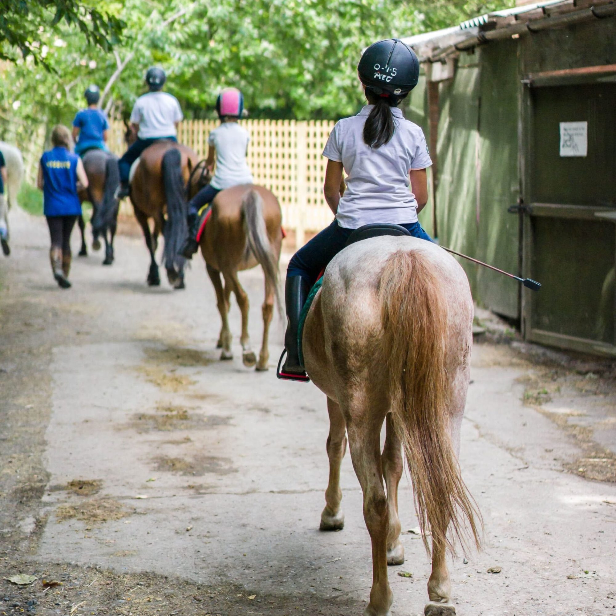 children-horse-ride-min