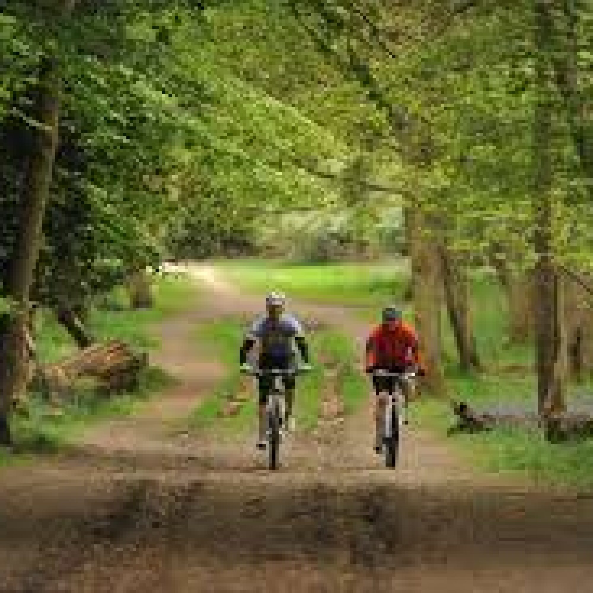 cycling 2-min