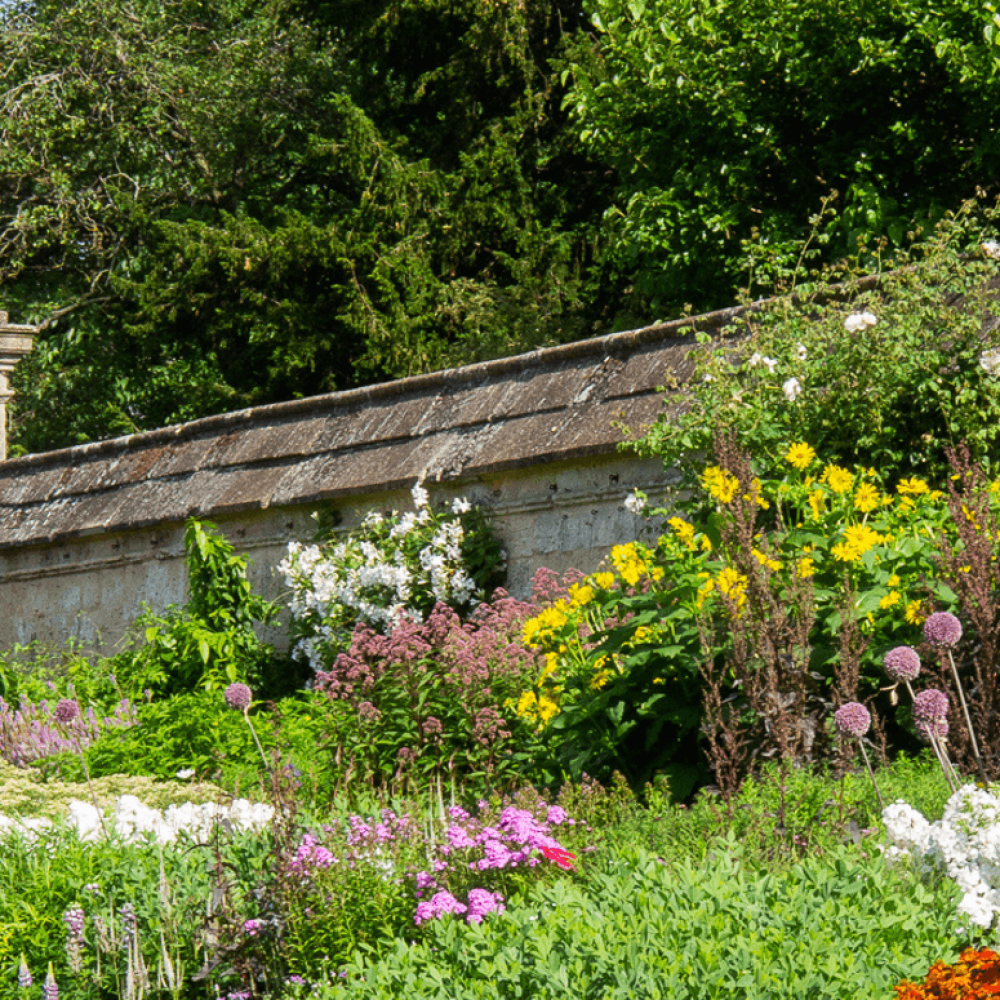 Country garden with green, white and pink flowers