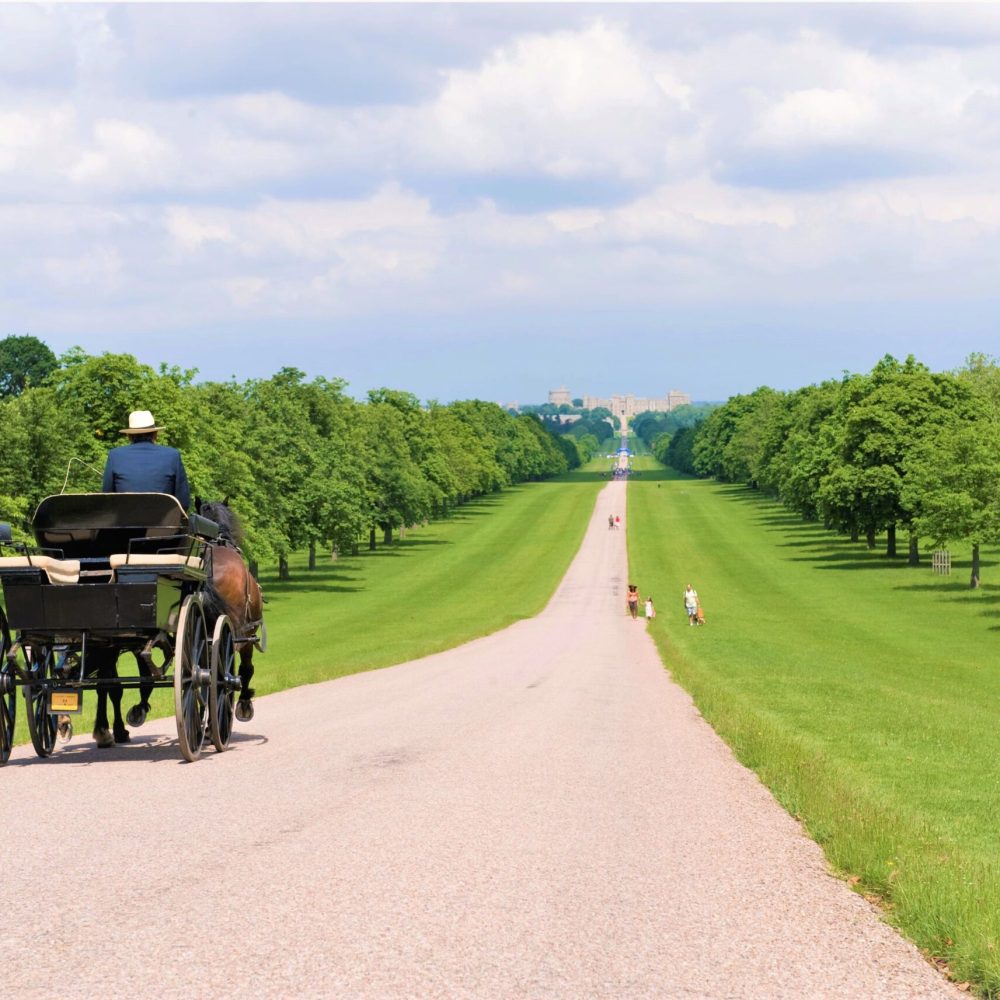 Horse and Carriage Rides in Windsor Great Park