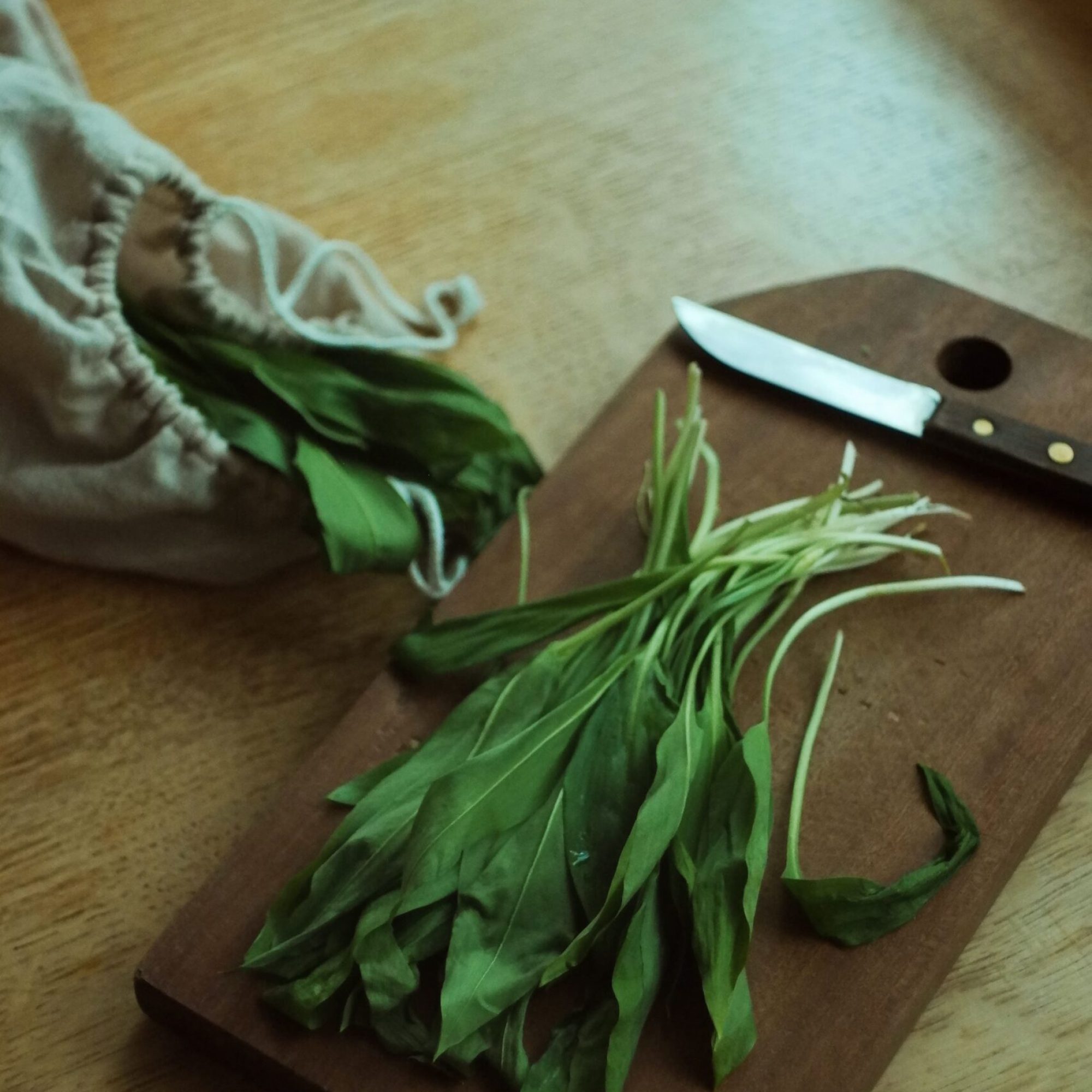 herbs-chopping-board