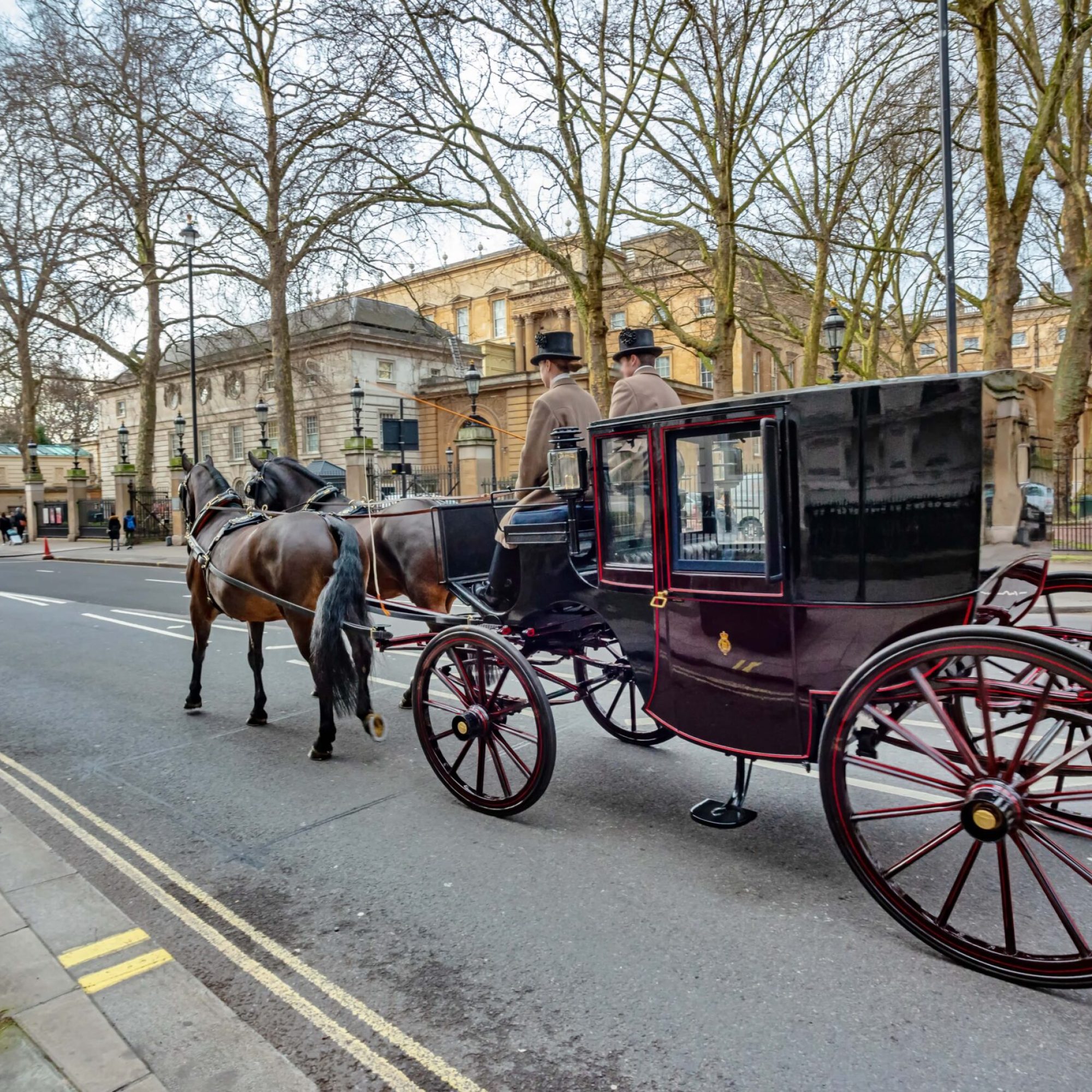 horse and carriage ride-min