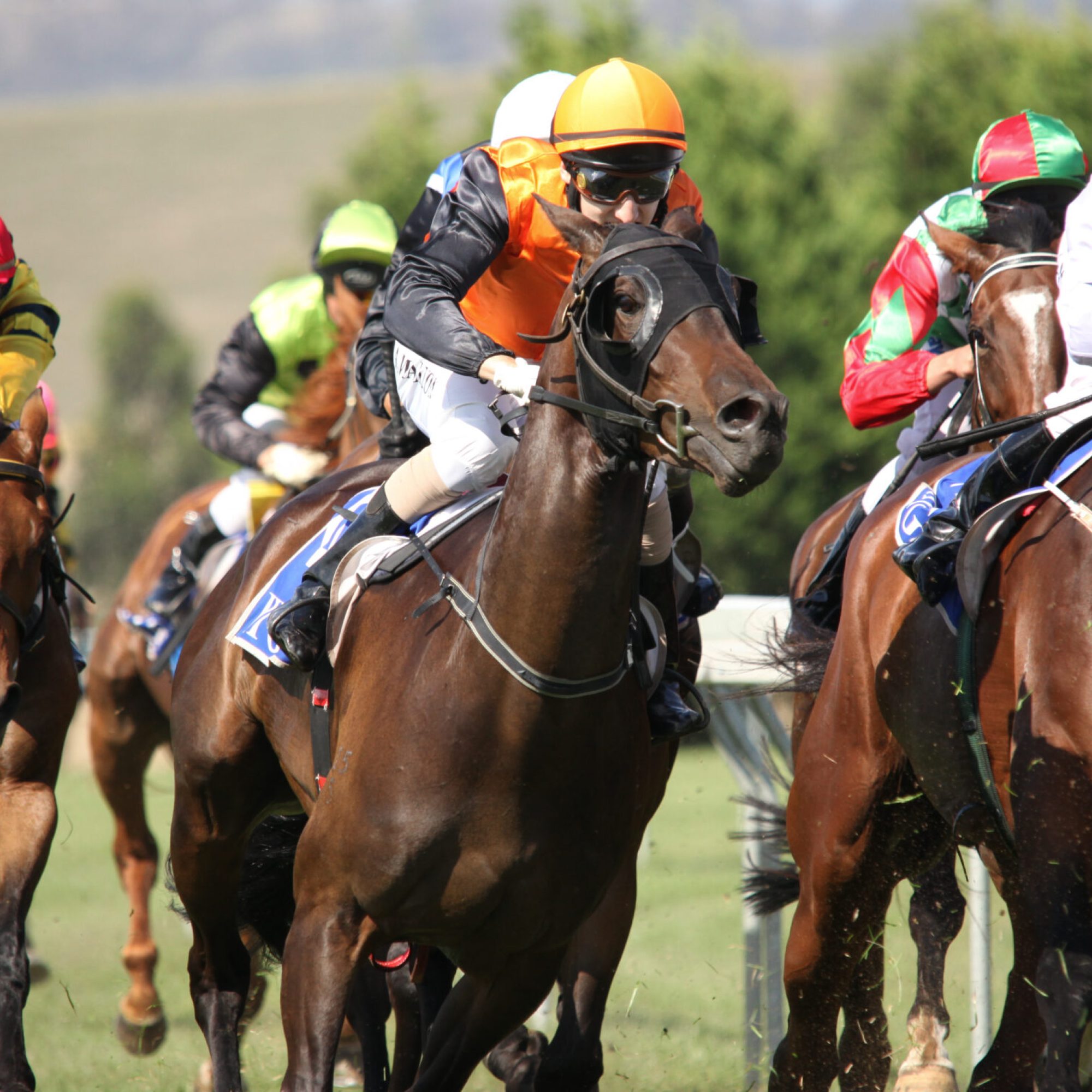 Melbourne,-,February,21:,Horses,Enter,The,Straight,In,The