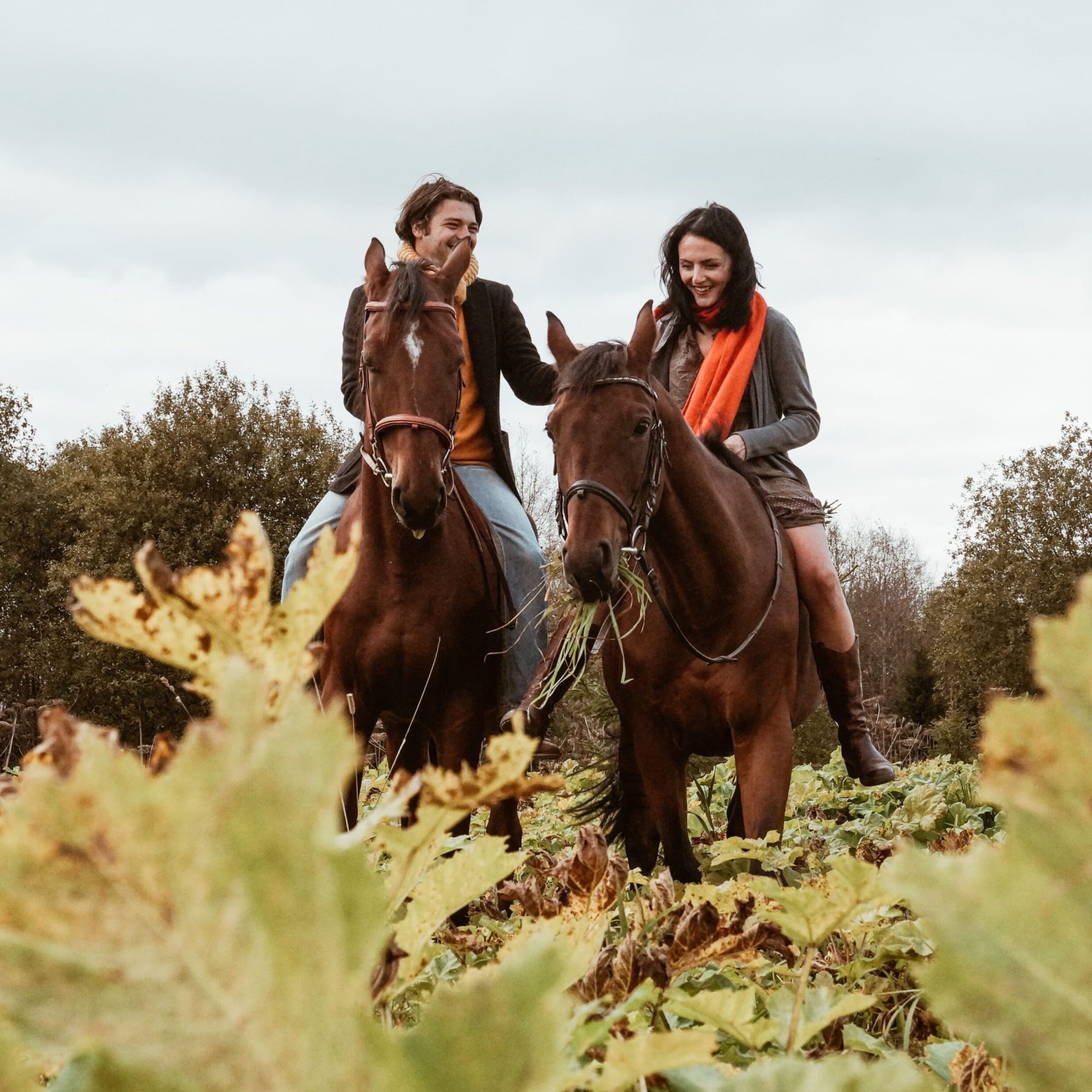 horse-riding-couple-horses-countryside-min