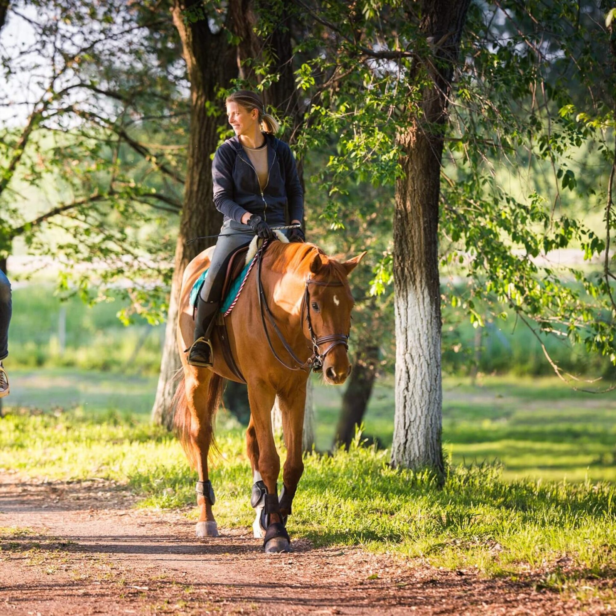 horse riding trail