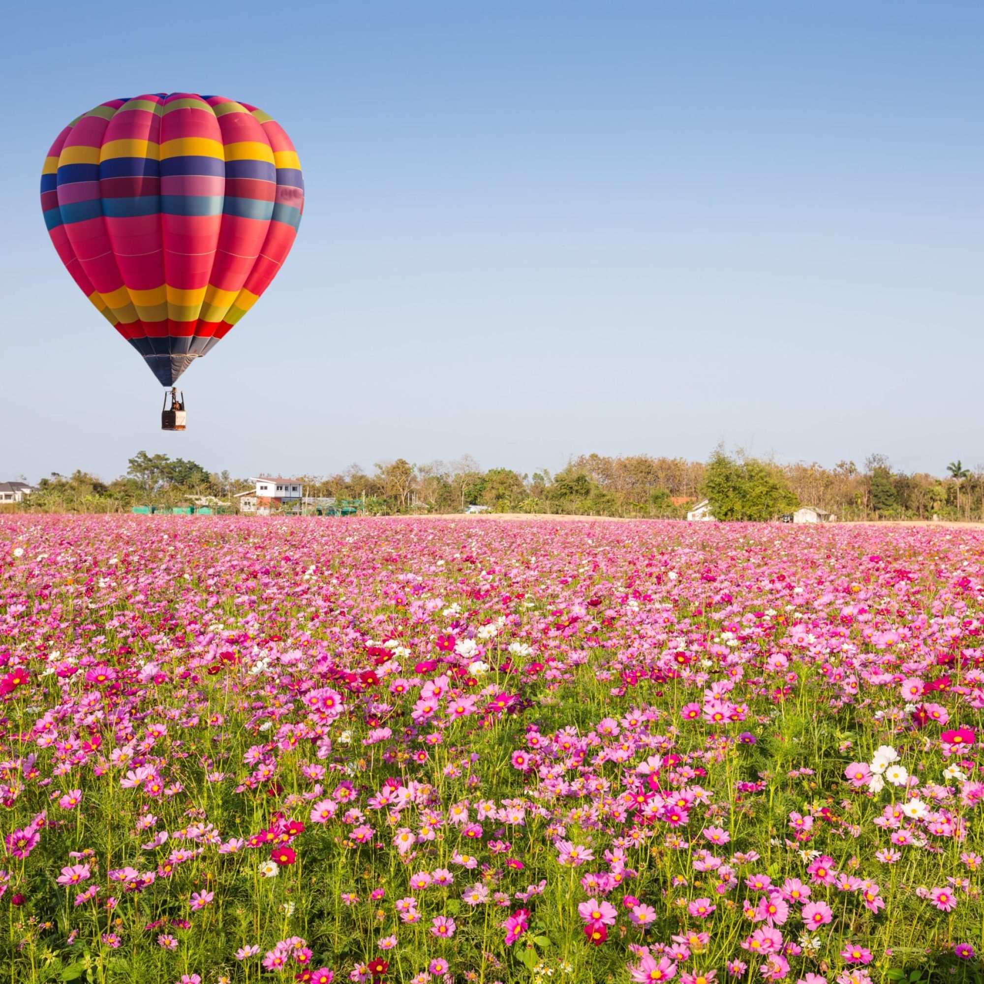 hot-air-balloon-fields-min