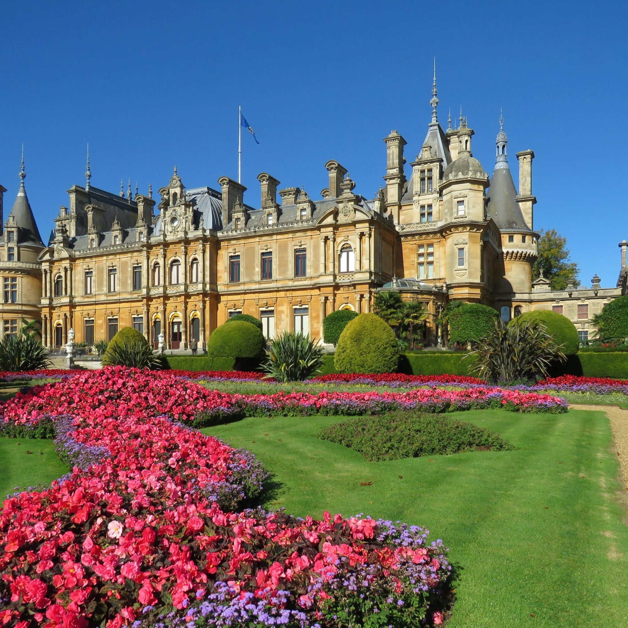 waddesdon-manor-flowers-min