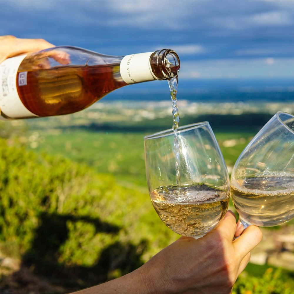 someone puring two glasses of wine in the vineyard